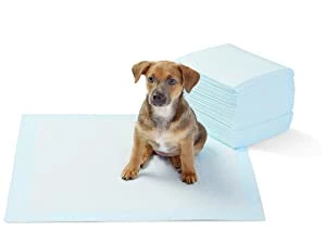 Pet Supply Products Accessoires Hot Sale High Absorbent Disposable Puppy Training Pad Pet Training Products Dog Cat PEE Pads