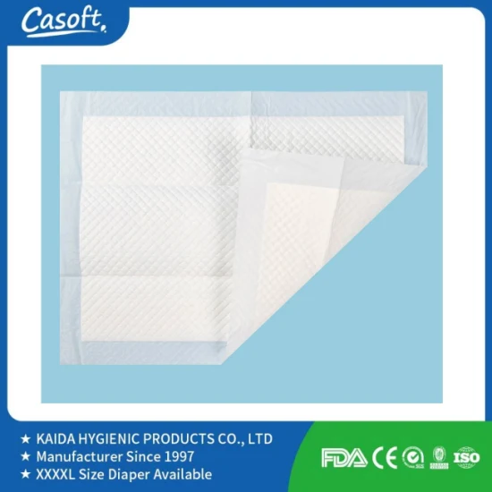 Hygienic Nursing Care Casoft Eco Friendly Disposable Urine Pads Underpad for Inconvenient Adults Factory Direct Sell in Philippines Russia Korea Us China